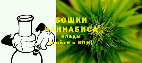 mdpv Богородицк